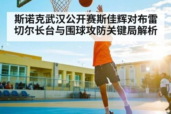 斯诺克武汉公开赛斯佳辉对布雷切尔长台与围球攻防关键局解析